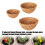 Durability Coconuts Planter Decorative Iron Plant-12 inches 6