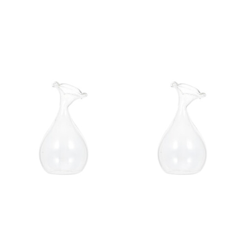 2Stk Dekorative Glasvase Transparent Blumenbehälter Wohnaccessoire