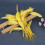 50Pcs Bright Colored Plumage 12 18CM Great For-Royal Blue 5