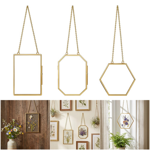 3PCS Multifunctional Metal Frame Glass Display for Preserving 1