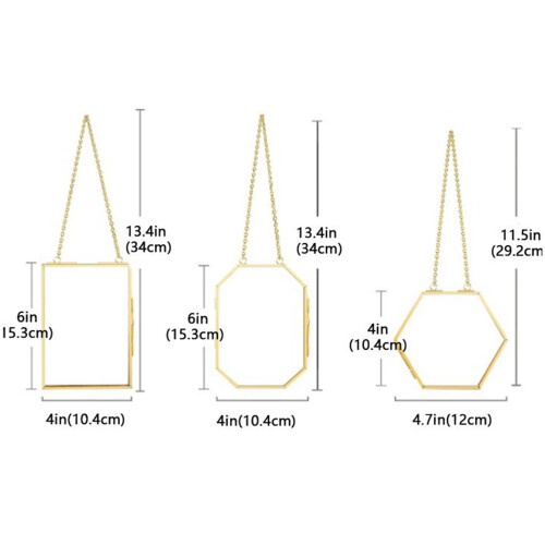 3PCS Multifunctional Metal Frame Glass Display for Preserving 2