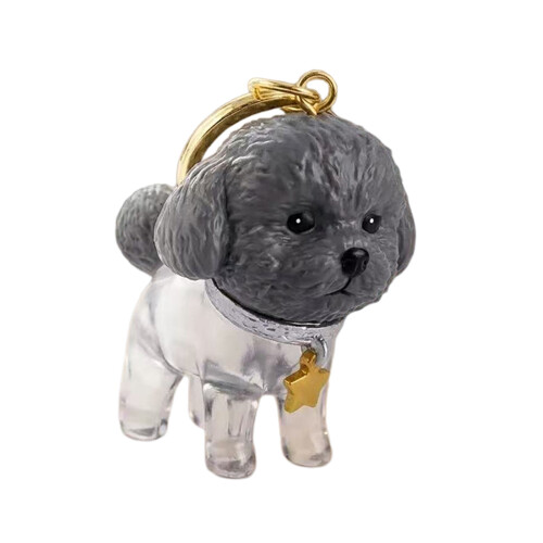Bouteille de rangement de poils de chien, porte-clés-VIP