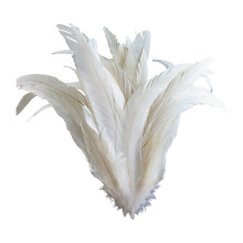 Plumage blanc 40 pièces 25 30Cm pour scène et mariage-Blanc