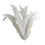 Plumage blanc 40 pièces 25 30Cm pour scène et mariage-Blanc 1