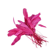 Plumage teint vibrant, 50 pièces, 12 à 18CM, pour la-Rose