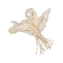 50Pcs Vibranting Dyed Plumage 12 18CM For Costume Design-Beige