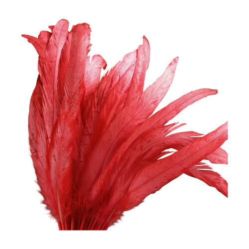 40Pcs Delicate White Plumage 25 30Cm Best For Creative Art-Red