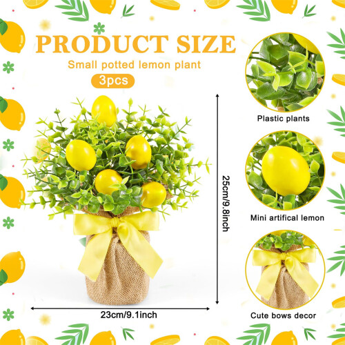 Arrangements en pot élégants sur le thème du citron, Solution de 2