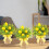Arrangements en pot élégants sur le thème du citron, Solution de 6