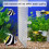 30PCS Aquarium Divider Fish Tank Divider Filter Grids Separation Grid Tray Isolation Board Grid with 60 PCS Sucker Clips 4