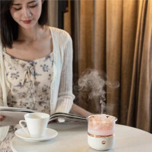 Difusor de Aceites Esenciales de Aromaterapia con Lámpara de Sal y 7 Luces de Colores, Humidificador de Frío de 160 Ml para el Hogar C