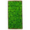 Preserved Moss for Wall Art Craft 6
