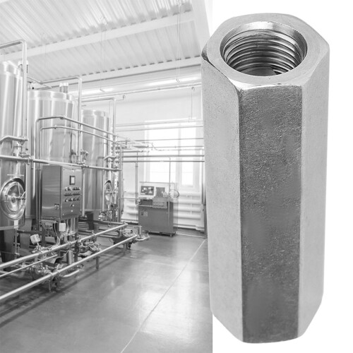 Hex Stainless Steel BSPP Check Valve