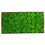 Preserved Moss for Wall Art Craft 10