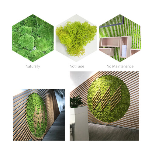 Preserved Moss Bulk for Art Decor