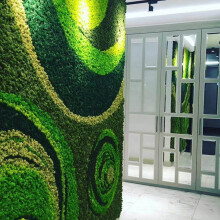 Preserved Moss for Wall Art Craft