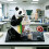 Educational Panda Anatomy Model For Medicals Teaching And 2