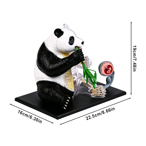 Fun Learning Tool With Assembled Panda Model For Kids And 2