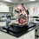 Educational Panda Anatomy Model For Medicals Teaching And 7