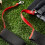1 Set Elastic Retention Cord to Keep Ski-For children 4 items 6