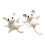 Porte-clés Sugar Gliders, breloque pour sac, écureuil de-gris 2