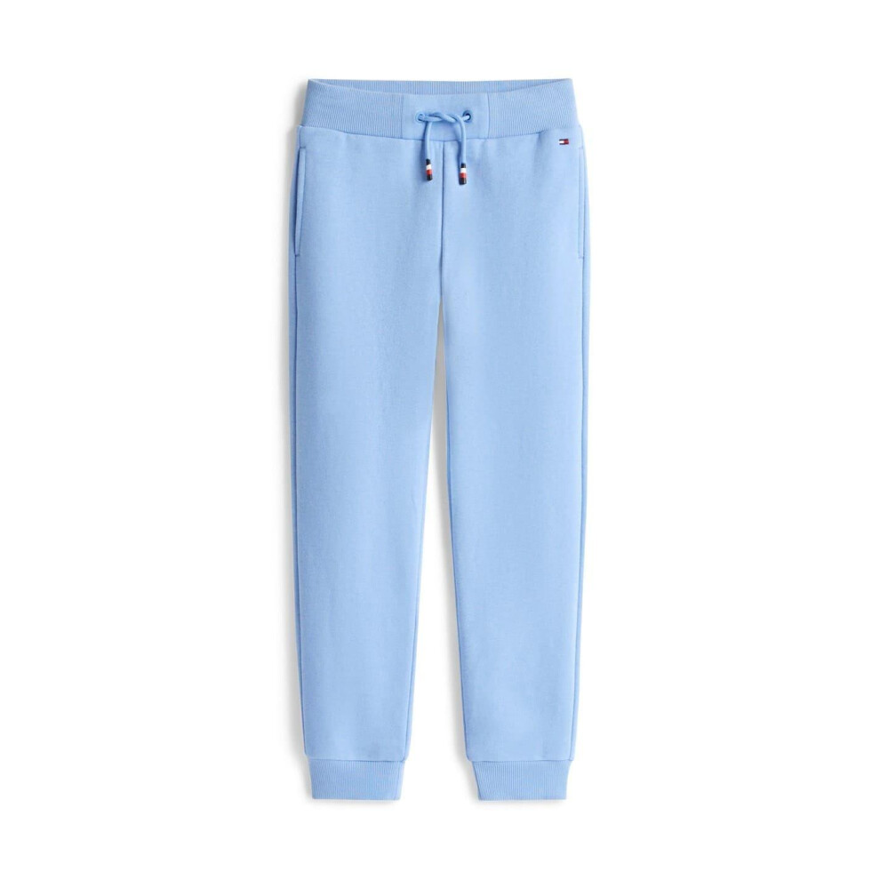 Tommy Hilfiger (16 Years, Cloud ) Boys Drawstring Joggers Blue