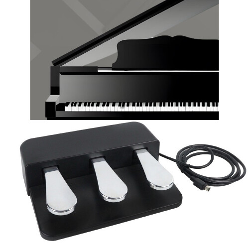 Portable ABS Sustain Pedal Universal Compatibility-Gold. 1