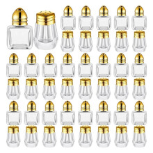 Salt & Pepper Shakers Clear Seasonings Shakers Tiny Spice Shakers Transparent Seasoning Shakers Gold