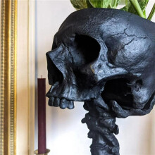 2X Resin Skull Planter & Spine Stand Set, Polyresin Skulls Pot, Halloween Decoration Human Skull Flower, Black