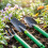 Ensemble d'outils de jardinage pour enfants, ensemble de 3 7