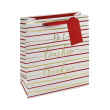 Eurowrap No1 Teacher Bag Medium Pack of 6 27165-3C
