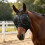 Reinforced Open Weave Horse Face Protector Guards Eyes From-Red 3