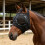 Reinforced Open Weave Horse Face Protector Guards Eyes From-Red 6