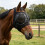 Reinforced Open Weave Horse Face Protector Guards Eyes From-Red 7