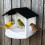 Multiuse Bird Feeder Safe Plastic Feeding Station-white gray 5