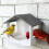 Multiuse Bird Feeder Safe Plastic Feeding Station-white gray 6
