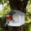 Multiuse Bird Feeder Safe Plastic Feeding Station-white gray 7