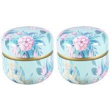 2St Mini Blikken Thee Organisator Ronde Bewaarpot Met Bloemdecoratie