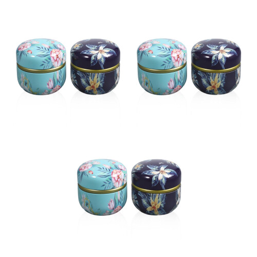 6Pcs Premium Tinplate Tea & Candy Canisters Assorted Colors