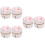 6Pcs Pink Tea Shop Storage Jars Decorative Tinplate Candy Holders 7