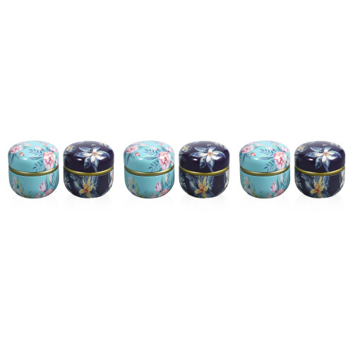 6Pcs Premium Tinplate Tea & Candy Canisters Assorted Colors 1