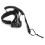 Coil Surf leash 10ft schwarz für Paddleboard 11