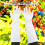 Professional Rose Pruning Gloves 1