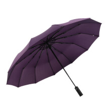 12 Ribs Handheld Folding Umbrella Windproof Compact Travel,Auto Open/Close Large Rain Umbrellas for Mens Women-