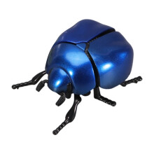 Creative Wind Up Insect Toy Outdoor Fun Safe Design Kids-Blue