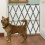 (Grey, 60cm - 230cm) Bettacare Expandable Pet Barrier 8