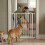 Safetots (White, 81.4cm - 89cm) Safetots Extra Tall Pressure Fit Gate 8