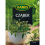 KAMIS cząber 10g 1