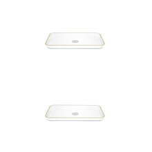 2Pcs Thick White Pet Multiuse Candy and Fruit Storage Trays