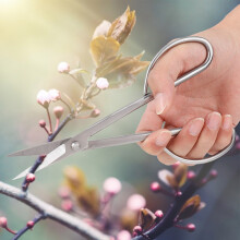 Stainless Steel Bonsai Scissors 210mm